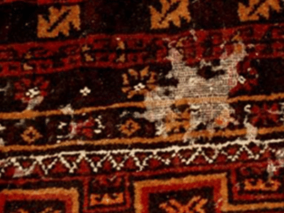 Oriental Rug Moth and Insect Control Services